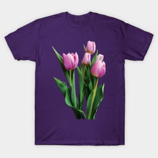 Pale Pink Tulips T-Shirt